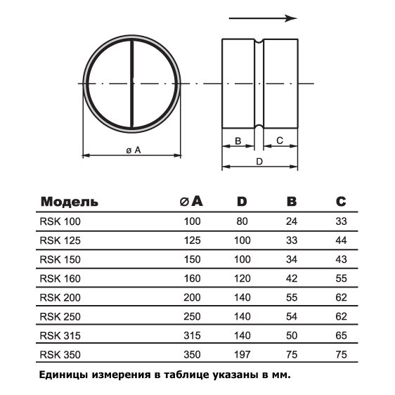 RSK-100 клапан обратный (RU)